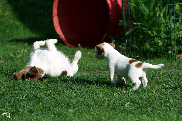 130519_lilli ja aisla.jpg - Lilli & Aisla